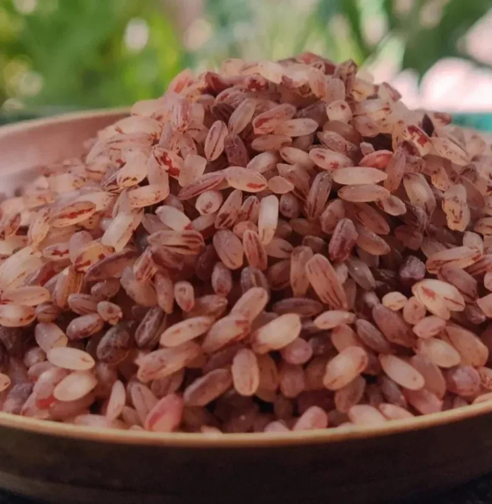 Palakkadan Matta Rice – premium red parboiled rice grains from Kerala, India